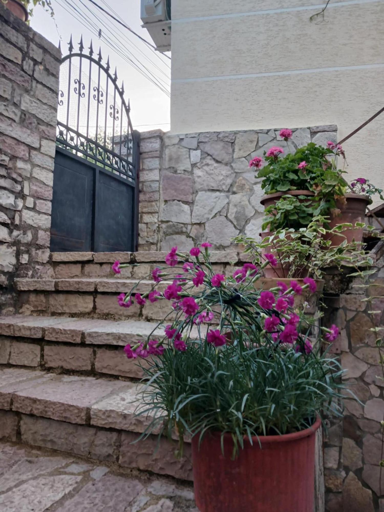 Gjirokastër Eniguesthouse מראה חיצוני תמונה